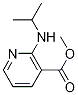 2-IsopropylaMino-nicotinic acid Methyl ester|