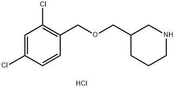 3-(2,4-二氯-苄氧基甲基)-哌啶盐酸盐, 1220027-25-7, 结构式