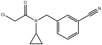 2-Chloro-N-(3-cyano-benzyl)-N-cyclopropyl-acetaMide Structure