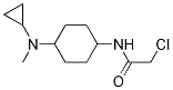 2-Chloro-N-[4-(cyclopropyl-Methyl-aMino)-cyclohexyl]-acetaMide Structure