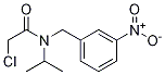 1353955-42-6 2-Chloro-N-isopropyl-N-(3-nitro-benzyl)-acetaMide