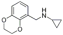 Cyclopropyl-(2,3-dihydro-benzo[1,4]dioxin-5-ylMethyl)-aMine|