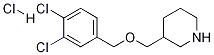 3-(3,4-Dichloro-benzyloxymethyl)-piperidine hydrochloride price.