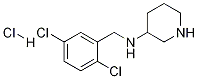(2,5-Dichloro-benzyl)-piperidin-3-yl-amine hydrochloride Structure