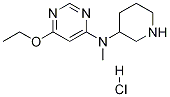 (6-Ethoxy-pyriMidin-4-yl)-Methyl-piperidin-3-yl-aMine hydrochloride|(6-乙氧基-嘧啶-4-基)-甲基哌啶-3-基-胺盐酸盐