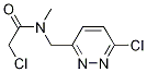 2-Chloro-N-(6-chloro-pyridazin-3-ylMethyl)-N-Methyl-acetaMide Struktur