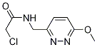 2-Chloro-N-(6-Methoxy-pyridazin-3-ylMethyl)-acetaMide 结构式