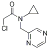 2-Chloro-N-cyclopropyl-N-pyrazin-2-ylMethyl-acetaMide,1353984-02-7,结构式