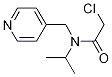 2-Chloro-N-isopropyl-N-pyridin-4-ylMethyl-acetaMide|