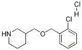 3-{[(2-Chlorobenzyl)oxy]methyl}piperidinehydrochloride|3-(2-氯苄氧甲基)-哌啶盐酸盐
