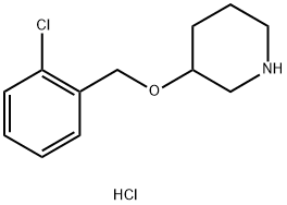 3-(2-氯苄氧基)-哌啶盐酸盐,1220017-44-6,结构式