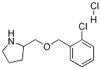 1261230-54-9 2-(2-氯苄氧基甲基)-吡咯烷盐酸盐