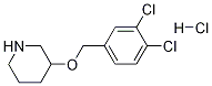 3-(3,4-Dichloro-benzyloxy)-piperidine hydrochloride Structure
