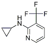 Cyclopropyl-(3-trifluoroMethyl-pyridin-2-yl)-aMine Structure