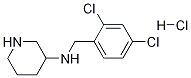 (2,4-二氯-苄基)-哌啶-3-基-胺盐酸盐