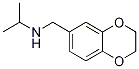 (2,3-Dihydro-benzo[1,4]dioxin-6-ylMethyl)-isopropyl-aMine Struktur