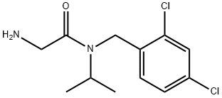 2-AMino-N-(2,4-dichloro-benzyl)-N-isopropyl-acetaMide
