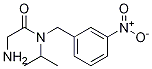 2-AMino-N-isopropyl-N-(3-nitro-benzyl)-acetaMide|