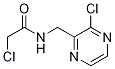 2-Chloro-N-(3-chloro-pyrazin-2-ylMethyl)-acetaMide|