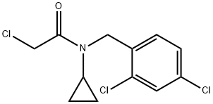 1353975-49-1 2-Chloro-N-cyclopropyl-N-(2,4-dichloro-benzyl)-acetaMide