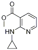 2-CyclopropylaMino-nicotinic acid Methyl ester Structure