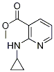 2-CyclopropylaMino-nicotinic acid Methyl ester 结构式