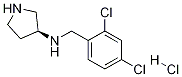 (2,4-Dichloro-benzyl)-(S)-pyrrolidin-3-yl-amine hydrochloride Structure