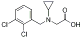 [Cyclopropyl-(2,3-dichloro-benzyl)-aMino]-acetic acid|