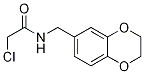 2-Chloro-N-(2,3-dihydro-benzo[1,4]dioxin-6-ylMethyl)-acetaMide Structure