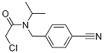 2-Chloro-N-(4-cyano-benzyl)-N-isopropyl-acetaMide 化学構造式