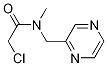 2-Chloro-N-Methyl-N-pyrazin-2-ylMethyl-acetaMide Structure