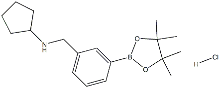 N-(3-(4,4,5,5-Tetramethyl-1,3,2-dioxaborolan-2-yl)benzyl)cyclopentanamine hydrochloride, 2096330-09-3, 结构式