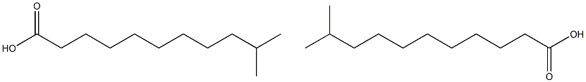 10-Methylhendecanoic acid (Isolauric acid) 结构式