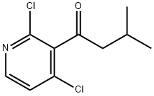 1-(2,4-dichloropyridin-3-yl)-3-Methylbutan-1-one Structure