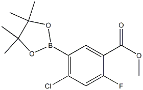 4-Chloro-2-fluoro-5-(4,4,5,5-tetraMethyl-[1,3,2]dioxaborolan-2-yl)-
benzoic acid Methyl ester