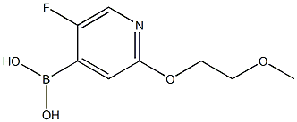 5-Fluoro-2-(2-methoxyethoxy)pyridine-4-boronic acid 化学構造式