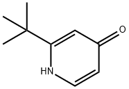 2-TERT-ブチルピリジン-4(1H)-オン 化学構造式