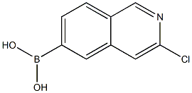 3-chloroisoquinolin-6-yl-6-boronic acid Structure