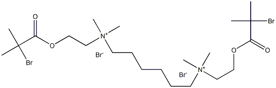 N1,N6-bis(2-(2-broMo-2-Methylpropanoyloxy)ethyl)-N1,N1,N6,N6-tetraMethyl hexane-1,6-diaMiniuM broMide 结构式