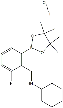 N-{[2-Fluoro-6-(tetramethyl-1,3,2-dioxaborolan-2-yl)phenyl]methyl}cyclohexanamine, HCl Struktur