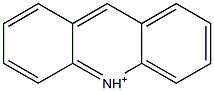 Acridinium Quench Solution Structure