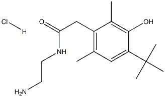 N-(2-AMinoethyl)-2-[4-(1,1-diMethylethyl)-3-hydroxy-2,6-diMethylphenyl]acetaMide Hydrochloride 结构式