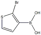 2-Bromothiophene-3-boronic acid|2-溴噻吩-3-硼酸