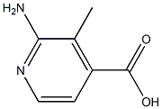 2-aMino-3-Methylpyridine-4-carboxylic acid,,结构式