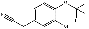 3-Chloro-4-(trifluoroMethoxy)phenylacetonitrile Structure