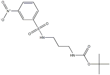 tert-butyl 3-(3-nitrophenylsulfonaMido)propylcarbaMate|