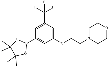 4-{2-[3-(Tetramethyl-1,3,2-dioxaborolan-2-yl)-5-(trifluoromethyl)phenoxy]ethyl}morpholine 化学構造式