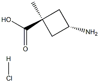 trans-3-AMino-1-Methylcyclobutanecarboxylic acid hydrochloride Struktur