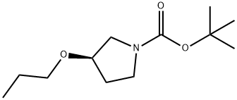 1-BOC-(R)-3-正丙氧基吡咯烷, 1175835-99-0, 结构式