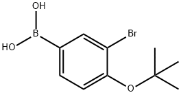 3-Bromo-4-t-butoxyphenylboronic acid,2096329-60-9,结构式